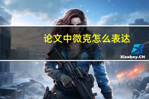 论文中微克怎么表达
