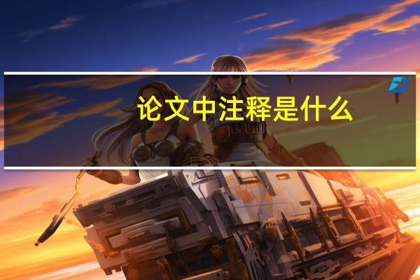 论文中注释是什么