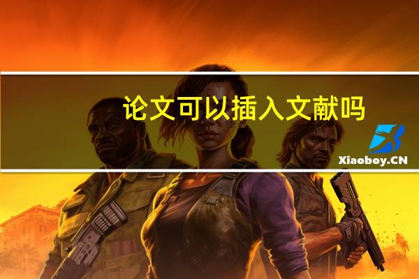 论文可以插入文献吗