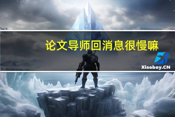 论文导师回消息很慢嘛