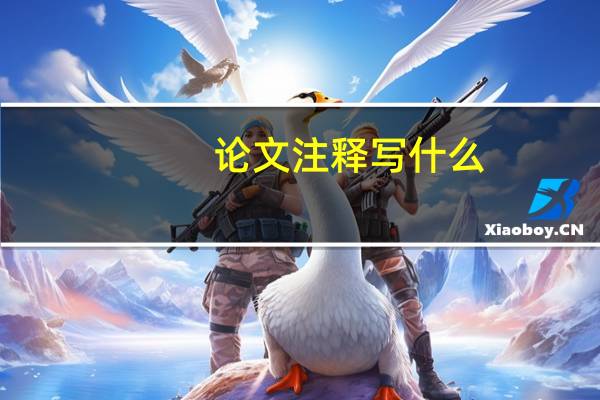 论文注释写什么