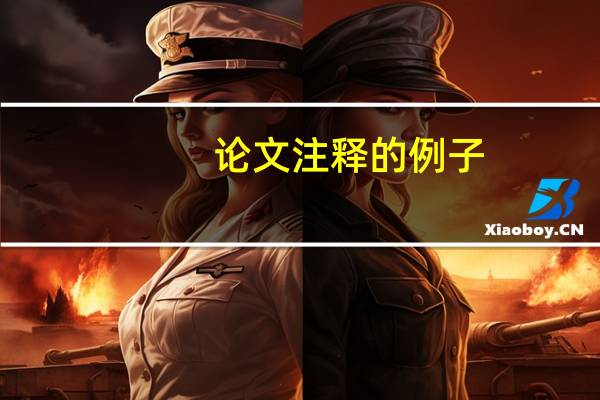 论文注释的例子