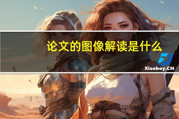 论文的图像解读是什么