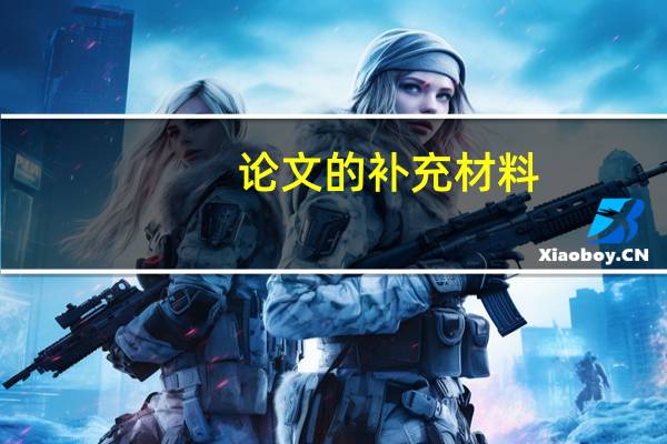论文的补充材料