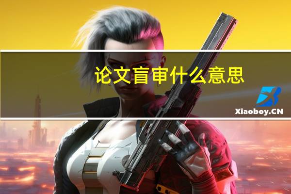 论文盲审什么意思
