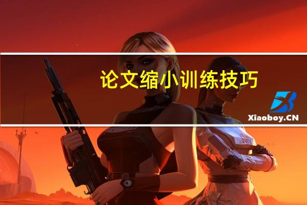 论文缩小训练技巧