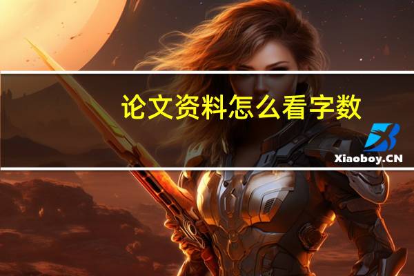 论文资料怎么看字数