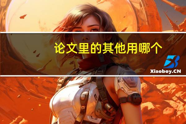 论文里的其他用哪个