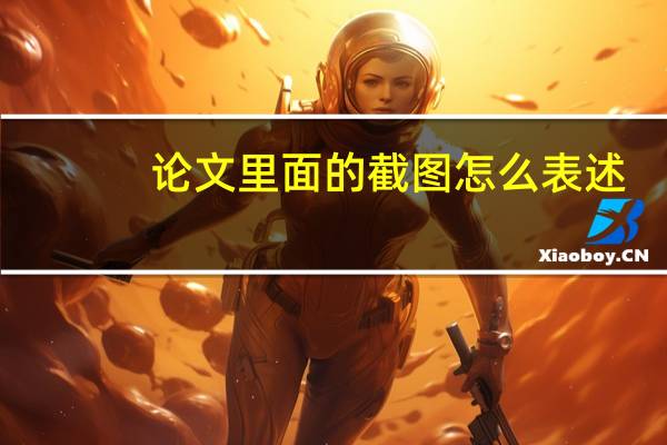 论文里面的截图怎么表述