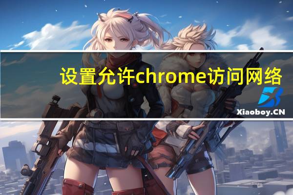 设置允许chrome访问网络