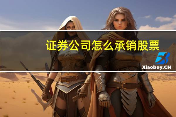 证券公司怎么承销股票