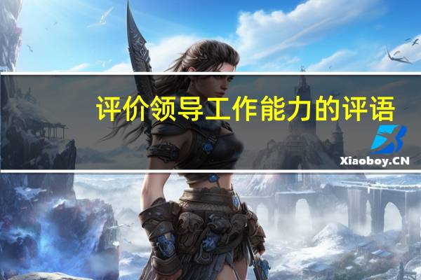 评价领导工作能力的评语