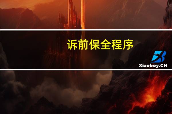 诉前保全程序