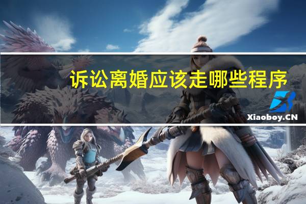 诉讼离婚应该走哪些程序