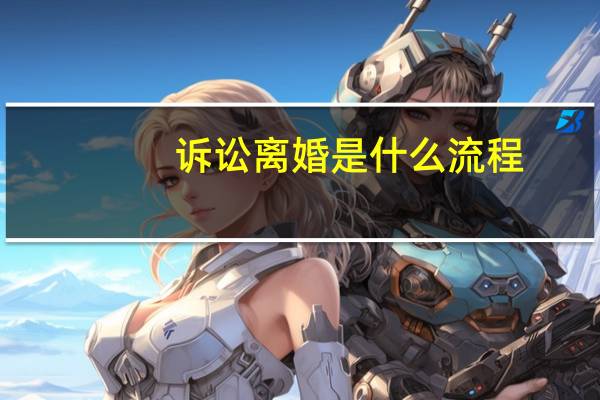 诉讼离婚是什么流程
