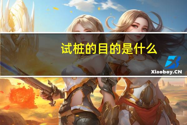 试桩的目的是什么