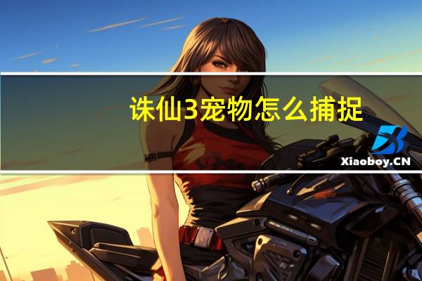 诛仙3宠物怎么捕捉