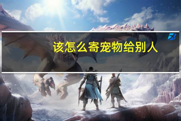 该怎么寄宠物给别人