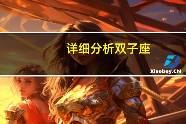 详细分析双子座