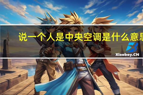 说一个人是中央空调是什么意思