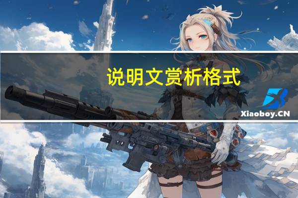 说明文赏析格式