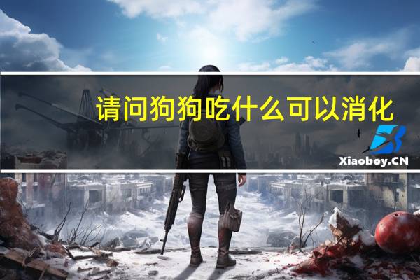 请问狗狗吃什么可以消化