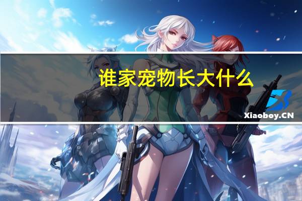 谁家宠物长大什么
