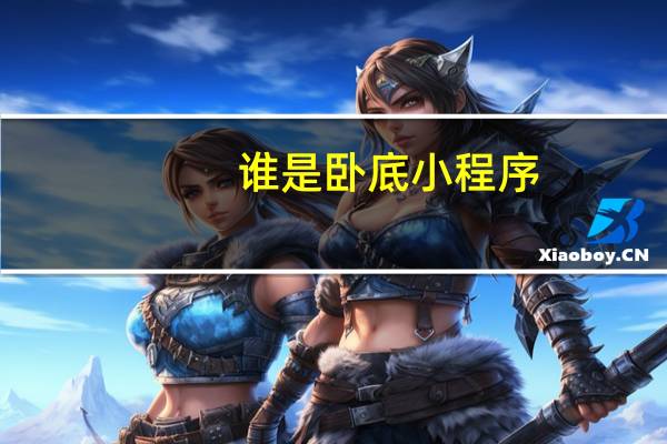 谁是卧底小程序