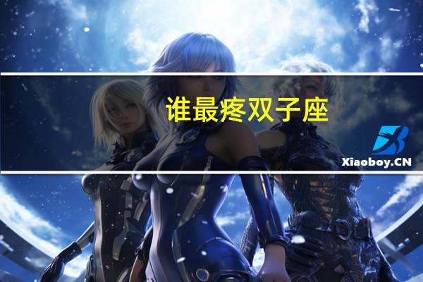 谁最疼双子座