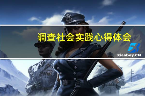 调查社会实践心得体会