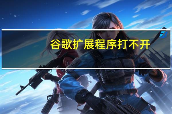 谷歌扩展程序打不开