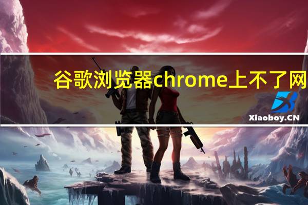 谷歌浏览器chrome上不了网