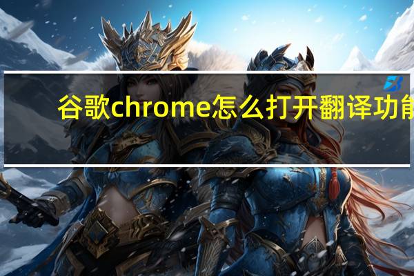 谷歌chrome怎么打开翻译功能