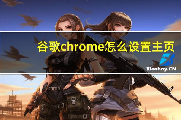 谷歌chrome怎么设置主页