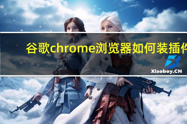 谷歌chrome浏览器如何装插件