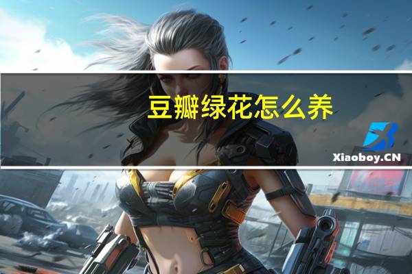 豆瓣绿花怎么养