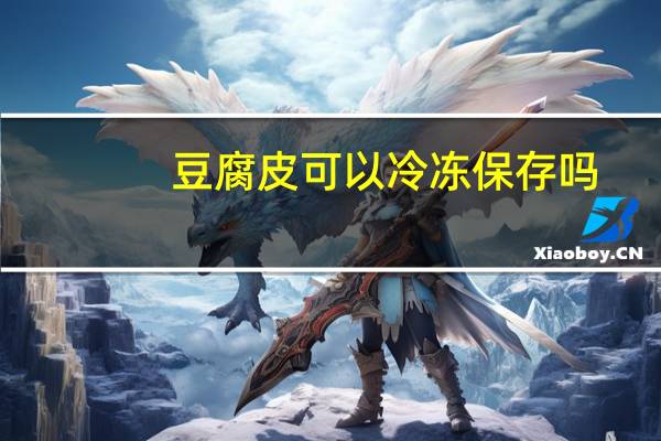 豆腐皮可以冷冻保存吗