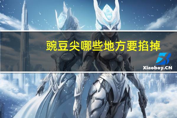 豌豆尖哪些地方要掐掉