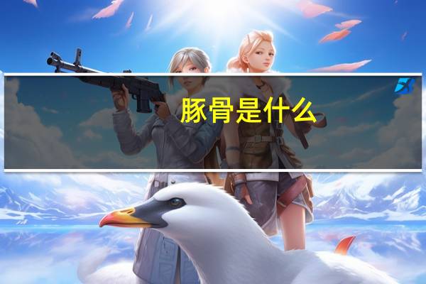 豚骨是什么