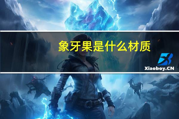 象牙果是什么材质