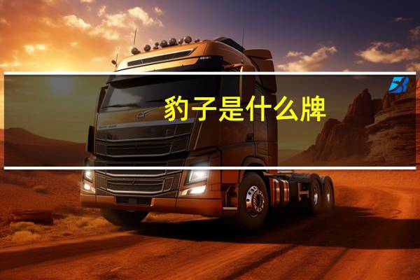 豹子是什么牌