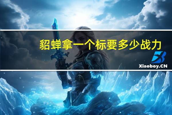 貂蝉拿一个标要多少战力