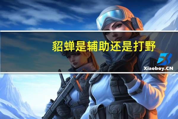 貂蝉是辅助还是打野