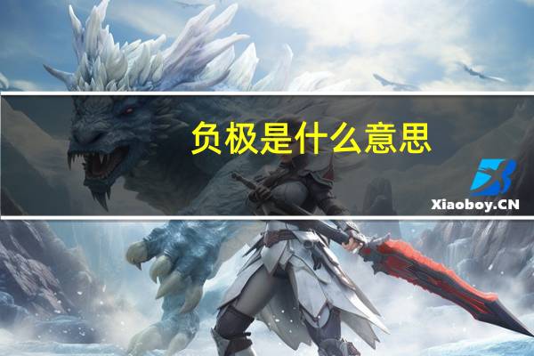 负极是什么意思