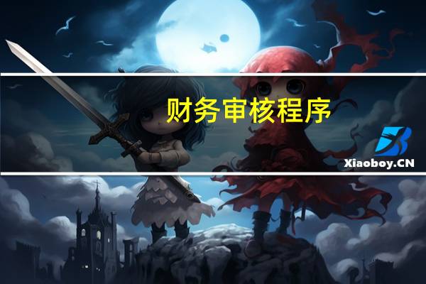 财务审核程序