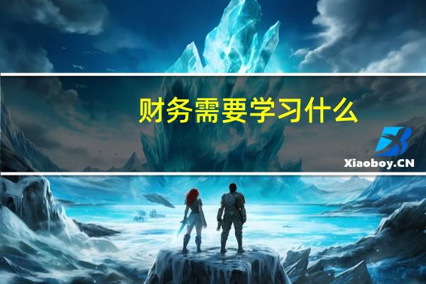 财务需要学习什么