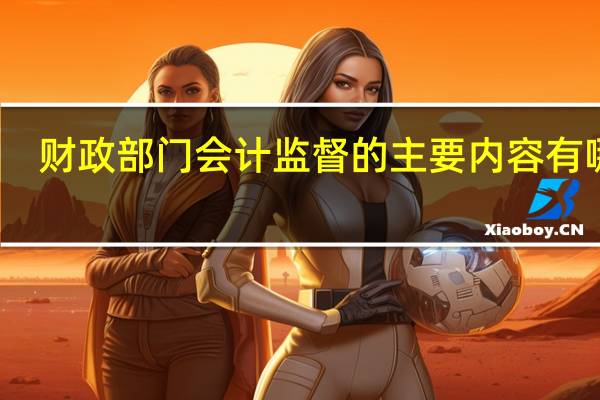 财政部门会计监督的主要内容有哪些