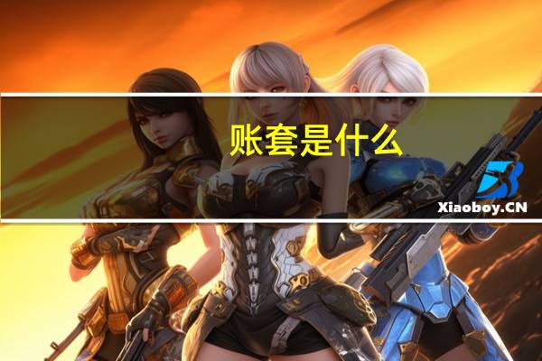 账套是什么
