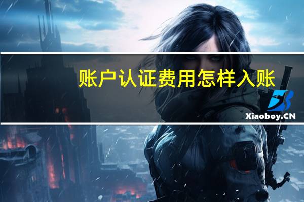 账户认证费用怎样入账