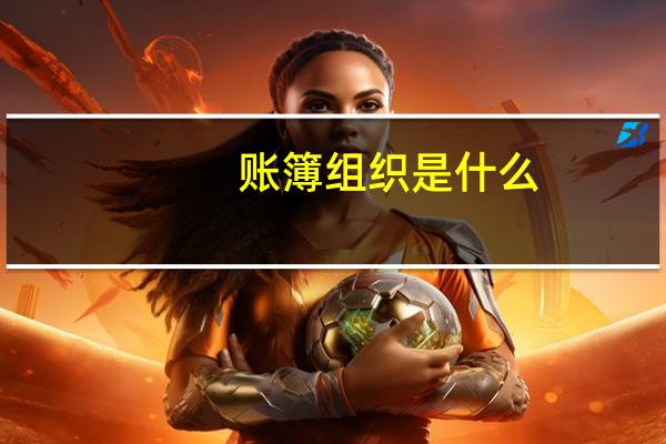 账簿组织是什么